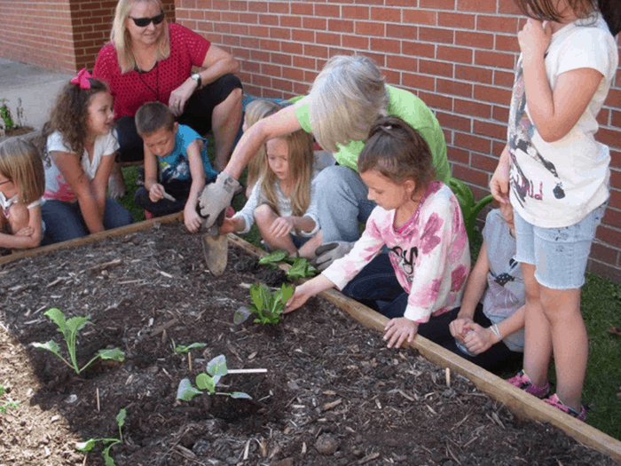 Feed Fannin volunteer planting a raised bed with elementary school students.